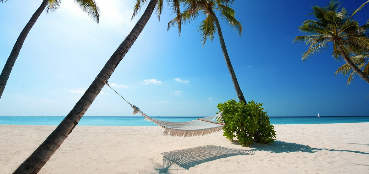 Qui e ora Paradise