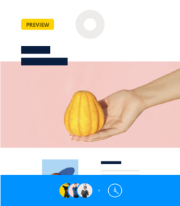 newsletters per woocommerce